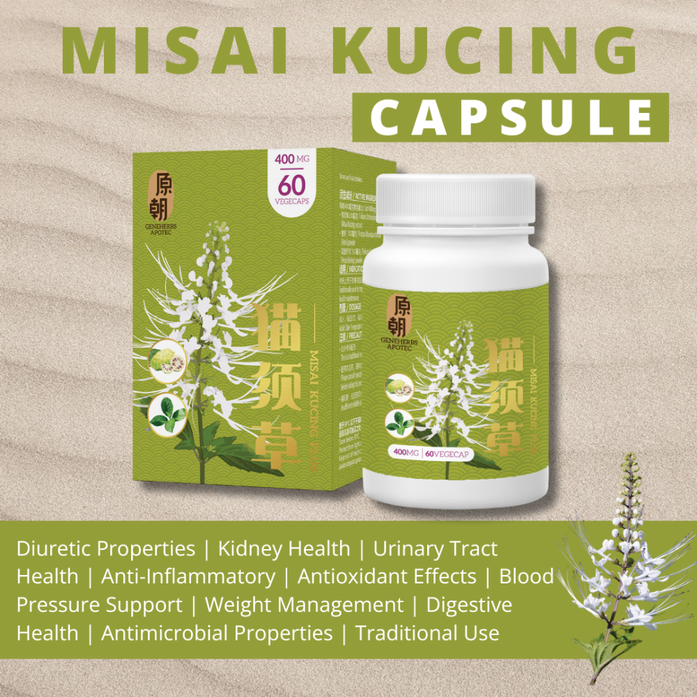 1f4b9c169a9e54b20636bcefeff4e28f.png Geneherbs Misai Kucing Capsule - Image 1